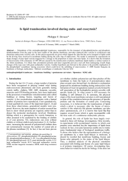 Is lipid translocation involved during endo