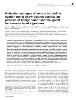 Molecular subtypes of serous borderline ovarian tumor