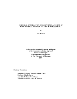 CHEMICAL OPTIMIZATION OF IN SITU