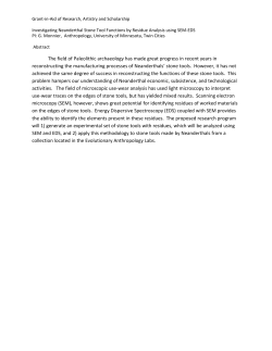 Investigating Neanderthal Stone Tool Functions by Residue