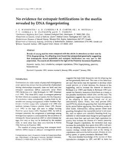 No evidence for extrapair fertilizations in the merlin revealed by DNA