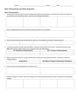 Notes: Photosynthesis and Cellular Respiration