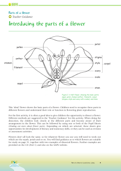 Number of Flower Parts