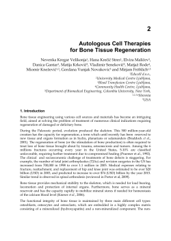 Autologous Cell Therapies for Bone Tissue Regeneration