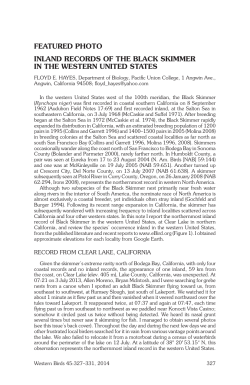 featured photo inland records of the black skimmer in the western