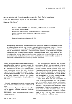 Accumulation of Phosphoenolpyruvate in Red Cells