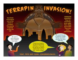 this Up2d8 maths resource