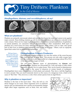 Tiny Drifters: Plankton - Deep