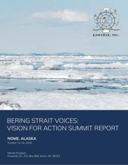 BSVAS final report20..