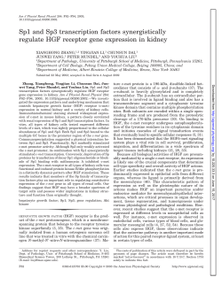 Sp1 and Sp3 transcription factors synergistically regulate HGF