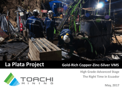 The La Plata Gold-Rich Copper-Zinc