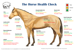 The Horse Health Check
