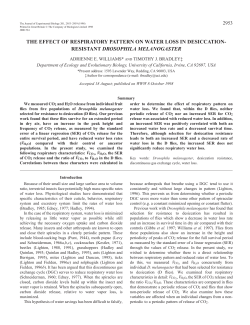 the effect of respiratory pattern on water loss in desiccation