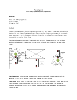 Project Squirrel Corn Giving Up Density (GUD) experiment Materials