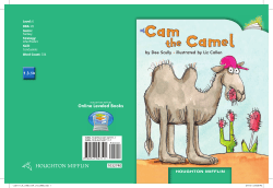 Cam the Camel