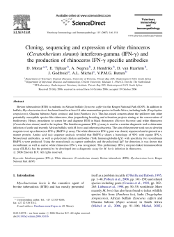 Cloning, sequencing and expression of white rhinoceros