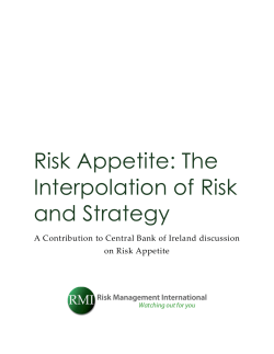 Risk Appetite: The Interpolation of Risk and