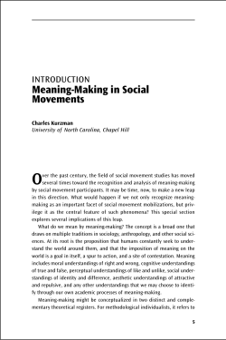 Meaning-Making in Social Movements