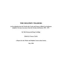 THE DOLPHIN TRADERS