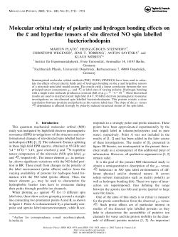 Molecular orbital study of polarity and hydrogen bonding effects on