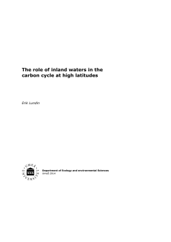 The role of inland waters in the carbon cycle at high latitudes