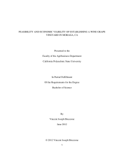 feasibility and economic viability of establishing a wine grape