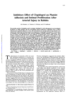 Inhibitory Effect of Clopidogrel on Platelet Adhesion and Intimal
