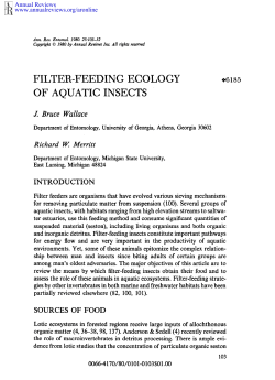 filter-feeding ecology of aquatic insects