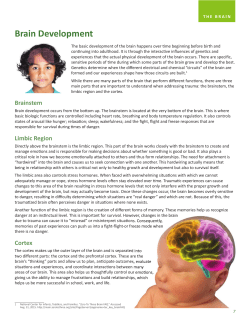 Brain Development