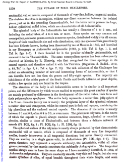 1570 THE VOYAGE OFH.M.S. CHALLENGER. arachnoidal veil or