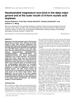 Hexahydrated magnesium ions bind in the deep