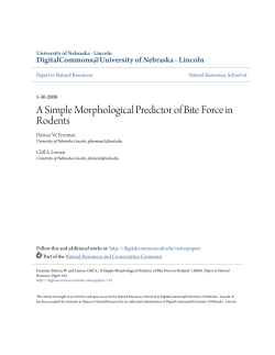 A Simple Morphological Predictor of Bite Force in Rodents