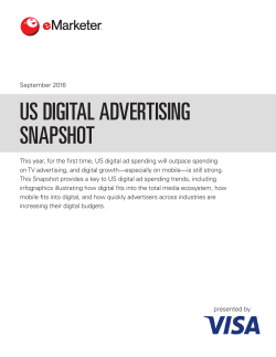 Digital Advertising Snapshot