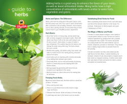 guide to herbs