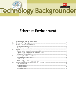 Ethernet Environment