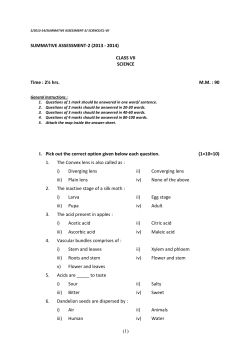 class vii - Somerville School