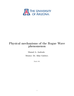 Physical mechanisms of the Rogue Wave phenomenon