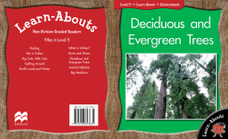 Redwood Trees - Macmillan Publishers