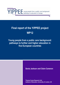 Final report of the YiPPEE project WP12