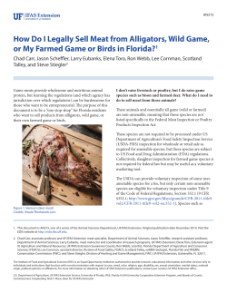 How Do I Legally Sell Meat from Alligators, Wild Game, or My