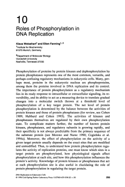 Chapter 10: Roles of Phosphorylation in DNA Replication