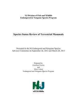 Species Status Review of Terrestrial Mammals