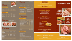 lunch dinner - Franchising