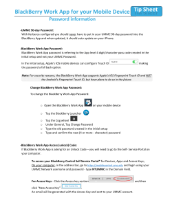 BlackBerry Work Password Information
