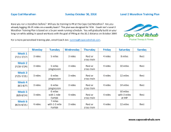 the level 2 training plan here