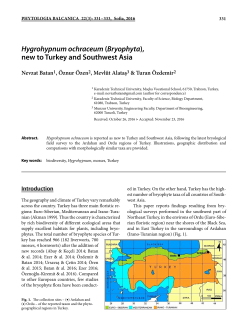 Hygrohypnum ochraceum (Bryophyta), new to Turkey
