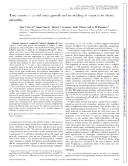 Time course of carotid artery growth and remodeling in - AJP