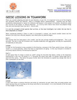 geese lessons in teamwork