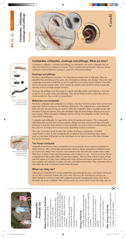 Centipedes, millipedes, sowbugs and pillbugs