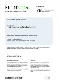 Price dynamics and production lags